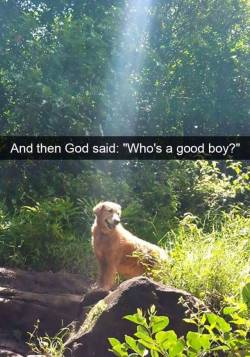 welele:  Y entonces Dios dijo. “¿Quién es un buen chico?”