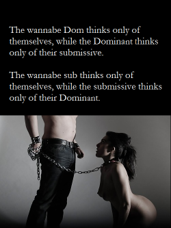 MAÎTREBDSM: Dressage Education Initiation