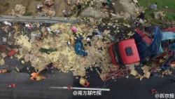 theinturnetexplorer:  A truck carrying over 10,000 chicks overturned in China. The locals proceeded to take part in the cutest looting spree imaginable. 