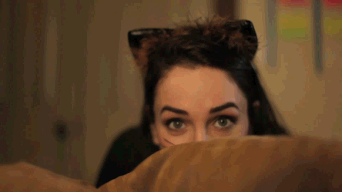 Kitten Tuesday!
