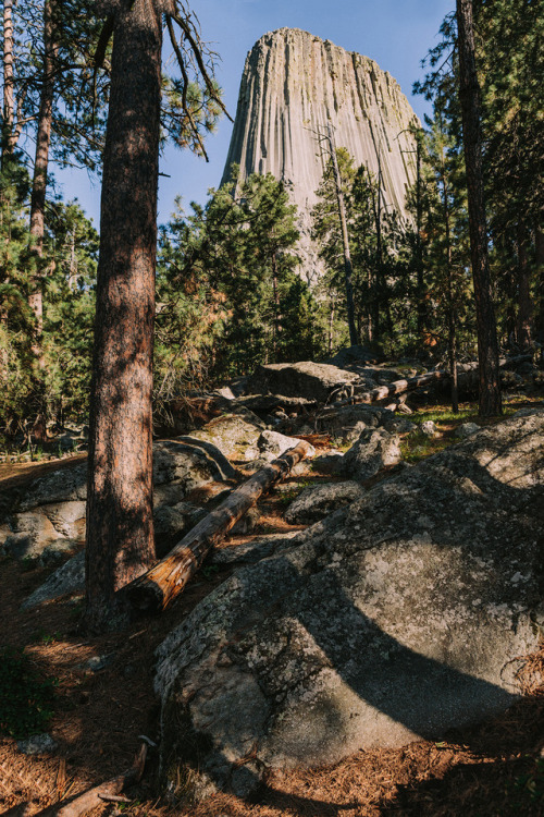 brianstowell:  Devil’s Tower, WyomingInstagram