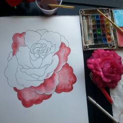 Working on a rose with some watercolor. #mattbernson