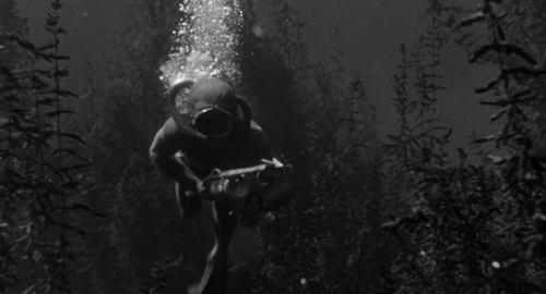 mean-st: Creature from the Black Lagoon (1954)