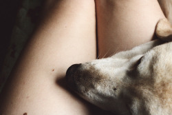 socialsurvival:  untitled by astisdale on Flickr. 