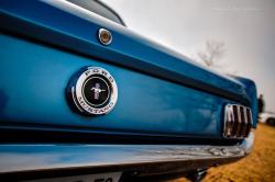 ford-mustang-generation:  Ford Mustang by Gael F. Photography on Flickr.