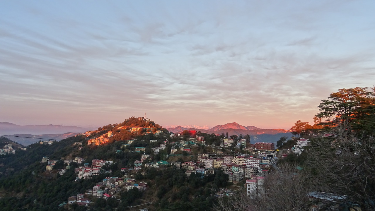 #simla on Tumblr