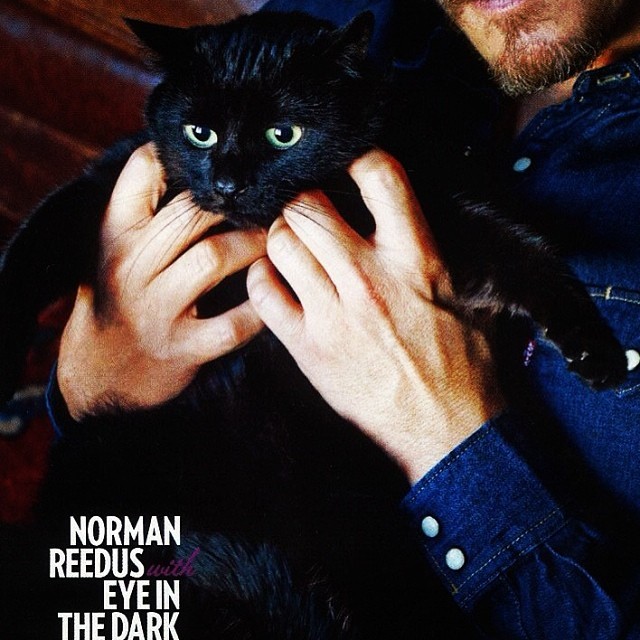 bigbaldhead:  Fatty
