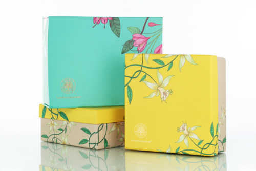 Ayurvedic beauty-care brand identity by Green Goose Design, India.