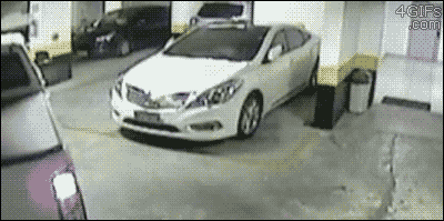 sofunnygifs:  #1 Rules of Black Friday: Don’t park like a jackass!   More Funny Gifs   