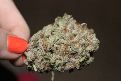sweetstoner:  frosty blackberry