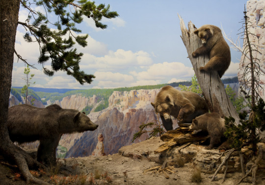 Happy 99th Birthday to the National Parks Service!