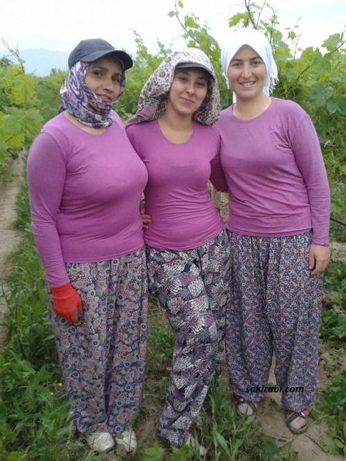 ifsagonderi: Üzüm bağında çalışan köylü güzelleri..Her biri birbirin