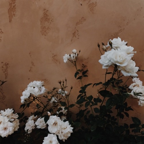 By Tana Gandhi