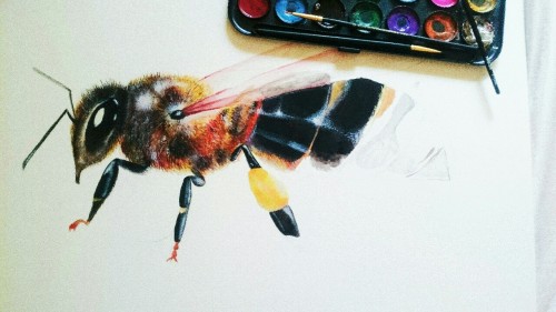 16x20 bee painting by me ✌