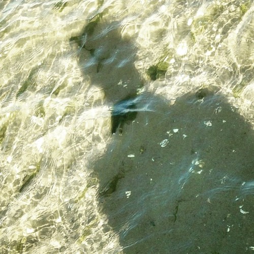#sun #beach #water #morning