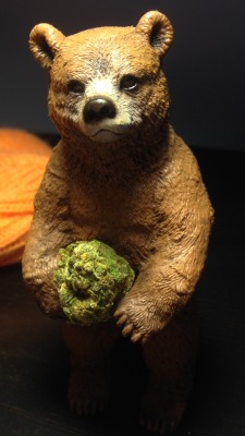 spark-the-kush:     Smokey the Bear 