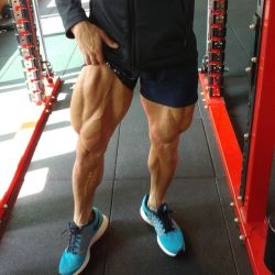 yourguy92:So strong legs. I simply admire