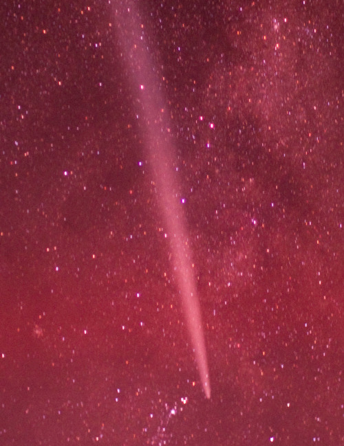 humanoidhistory:December 25, 2011 – An infrared view of Comet Lovejoy, photographed from the Interna