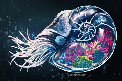 yuumei-art:Worlds Within: Nautilus Reef TankContinuing my glass animals series~ I’ve already painted