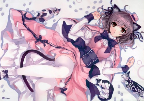 misaki kurehito animal ears dress neko nekomimi tagme tail thighhighs | #329414 | yande.re