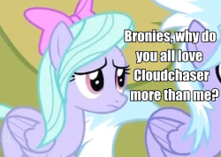 datcatwhatcameback:  datsweetberrypunch:  ask-godgirai:  knowyourmeme.com  i ask the same  It’s her mane.   Aww ;w; I love you both equally sweetie! &lt;3