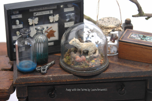 Taxidermy Stoat under glass domeAway with the Fairies by Laura Brownhillwww.instagram.com/awaywithth