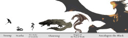 ofools:  she-minions:  deans-fucking-eyes:  wolfeyes-and-angelwings:  nathanielemmett:  demigodoftheatre:  contemporaryelfinchild:  So I made a little size chart of Dragons of Middle-Earth I think these are right but if anyone has quotes or anything to