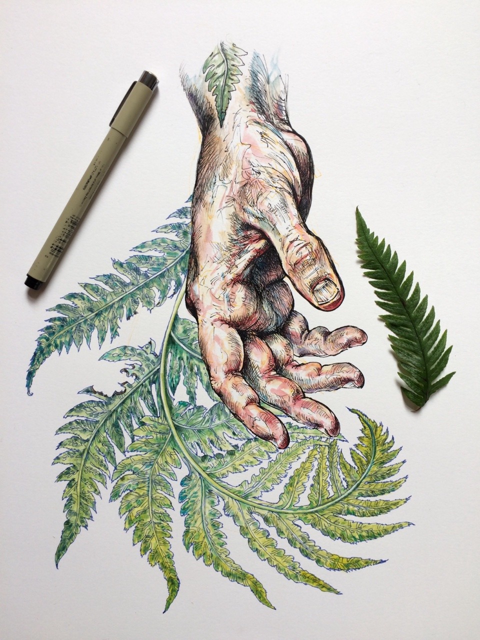 noelbadgespugh:  recent two