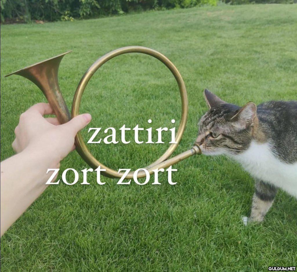 Zattiri Zort Zort Guldum Caps Arama Motoru Zattiri Zort Zort Guldum Caps Arama Motoru