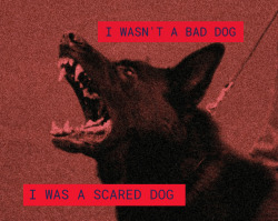 Porn photo traumatizeddfox:I WASN’T A BAD DOGI WAS