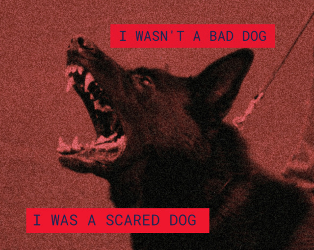 traumatizeddfox:I WASN’T A BAD DOGI WAS A SCARED DOG