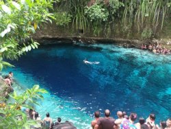hakunatropics:  unpresentable:  lushclub:  rookieriot:  lolalitah:  mild-bloom:  Enchanted River - Phillipines This place intrigues me so much. So beautiful and people need to appreciate places like these, looks magical!   oh lordy  nobody actually