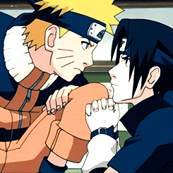 The Naruto Fandom.
