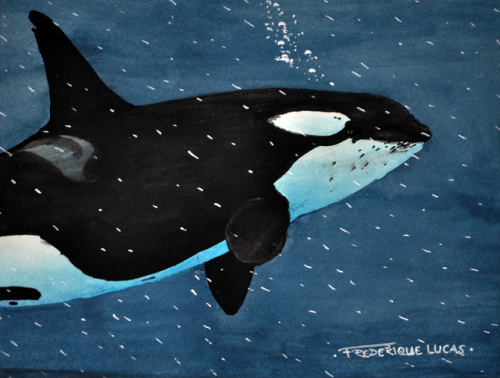 namu-the-orca: Raining bubbles A little watercolour painting from a while back. Wanted to test out m