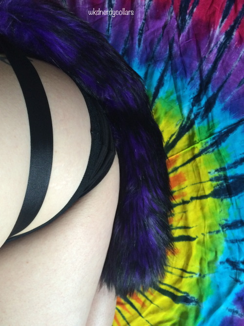 wkdnerdycollars:Collar by @wkdnerdycollars 💜 Rope by @bdsmgeekshop 💜 Tail by @littleqsoddities