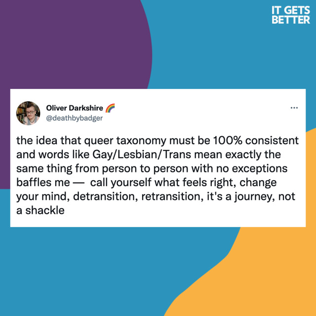 Screenshot of a Tweet by user Death By Badger that reads, "The idea that queer taxonomy must be 100% consistent and words like Gay/Lesbian/Trans mean exactly the same thing from person to person with no exceptions baffles me — call yourself what feels right, change your mind, detransition, retransition, it's a journey, not a shackle."