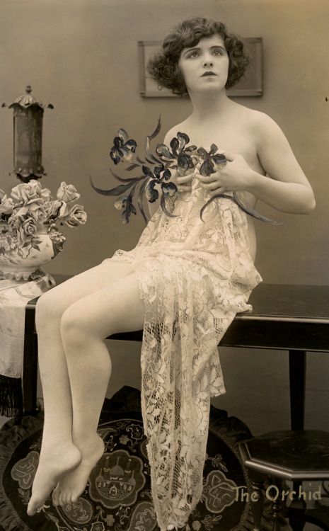 maudelynn:  The Orchid ~ 1920s Risque Arcade Card      