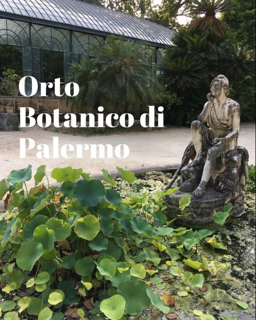 ORTO BOTANICO DI PALERMOQuando nel 1787 Goethe compie il suo viaggio Italia e visita l’orto botani