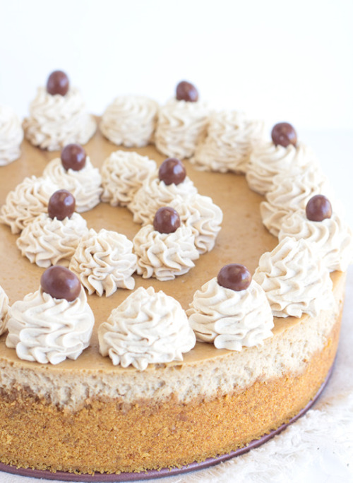 foodsforus:   Coffee Cheesecake