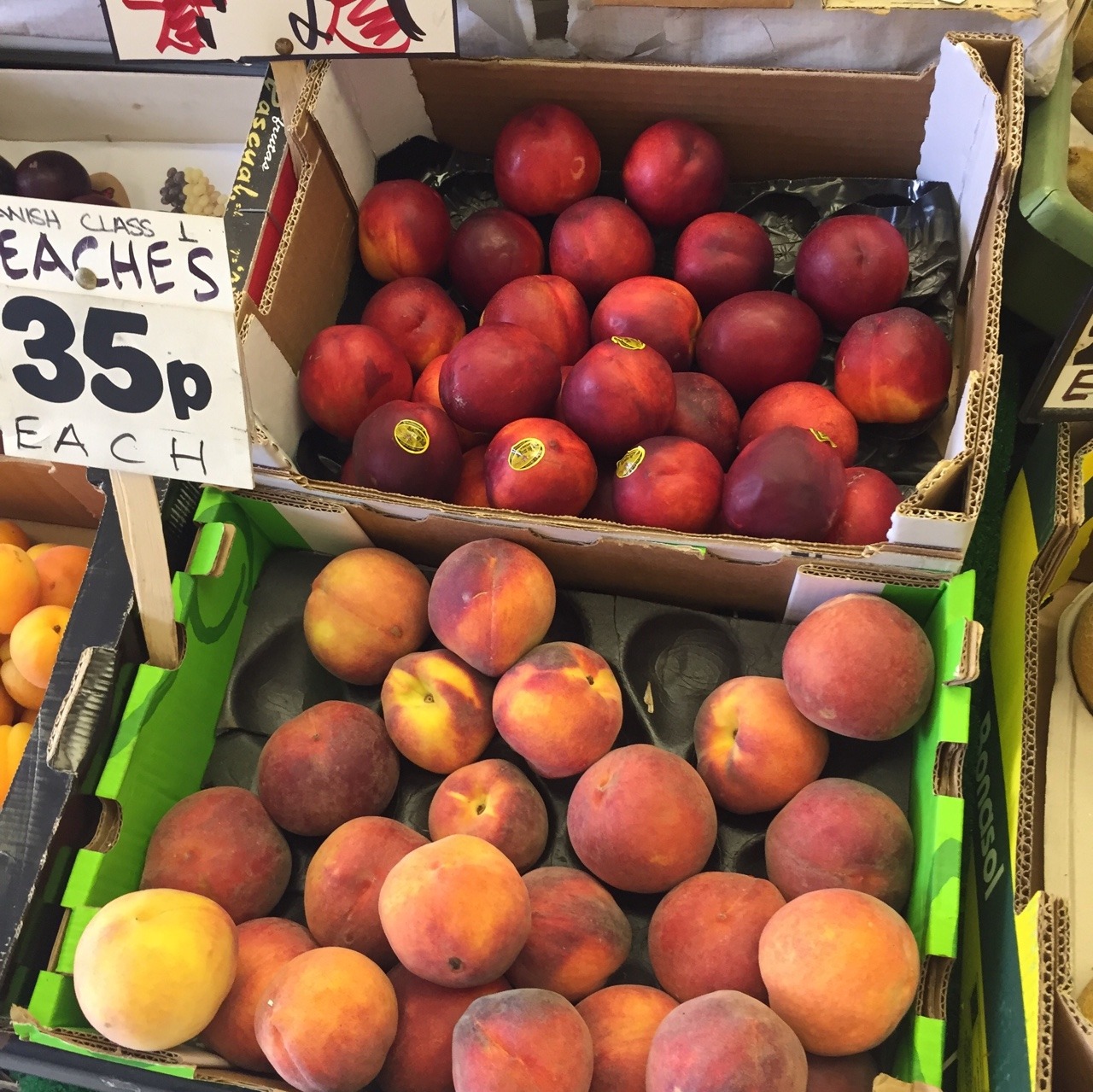 plantre:  cycles &amp; collects fruits !!! 🍑 