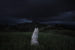 johnandwolf:  Dark clouds over Lincoln Heights,