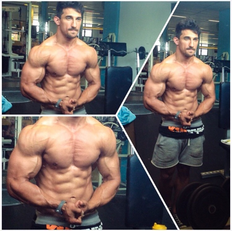 Adonis Files