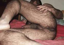 Hairy Arses