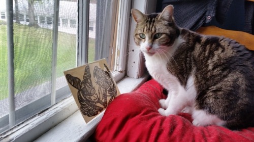hipohexamendios:Sunshine isn’t sure what to make of Beau and Brady’s portrait, except th