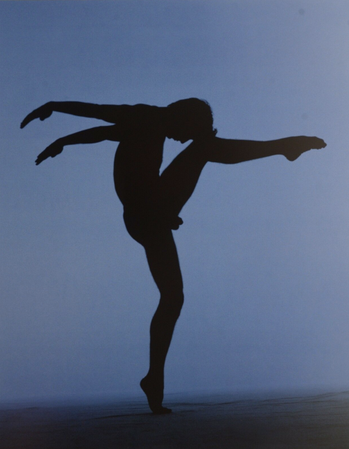 newloverofbeauty:  Dieter Blum:  Dancer  (Douglas Lee, Stuttgart Ballet)