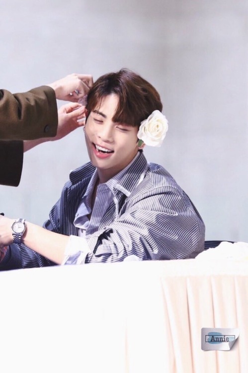 softskpop:An angel