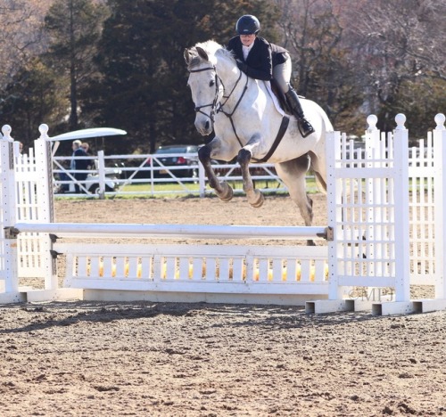 equestrian photography