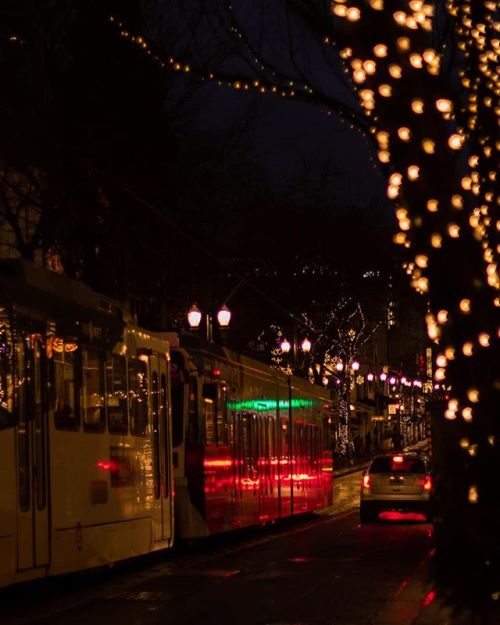 Daily Photo 351, 12.17 — Catching that train reflecting all the tree lights downtown — p