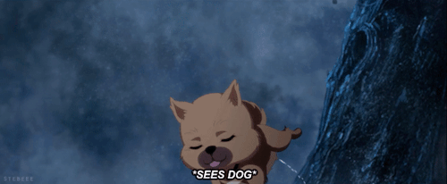 Wei Ying Scaring The Dog (and The Dog Scaring Wei Ying)