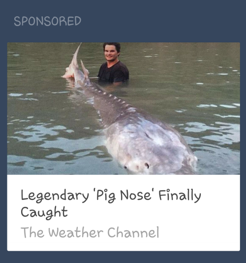 talkingcarcass8:glunks:Not a lot of weather goin on I guessyou fool Pig Nose has been controlling th